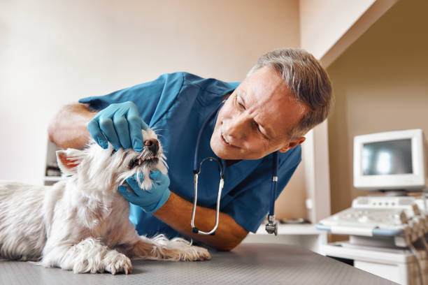 Best Emergency Root Canal Therapy in Aragon, GA